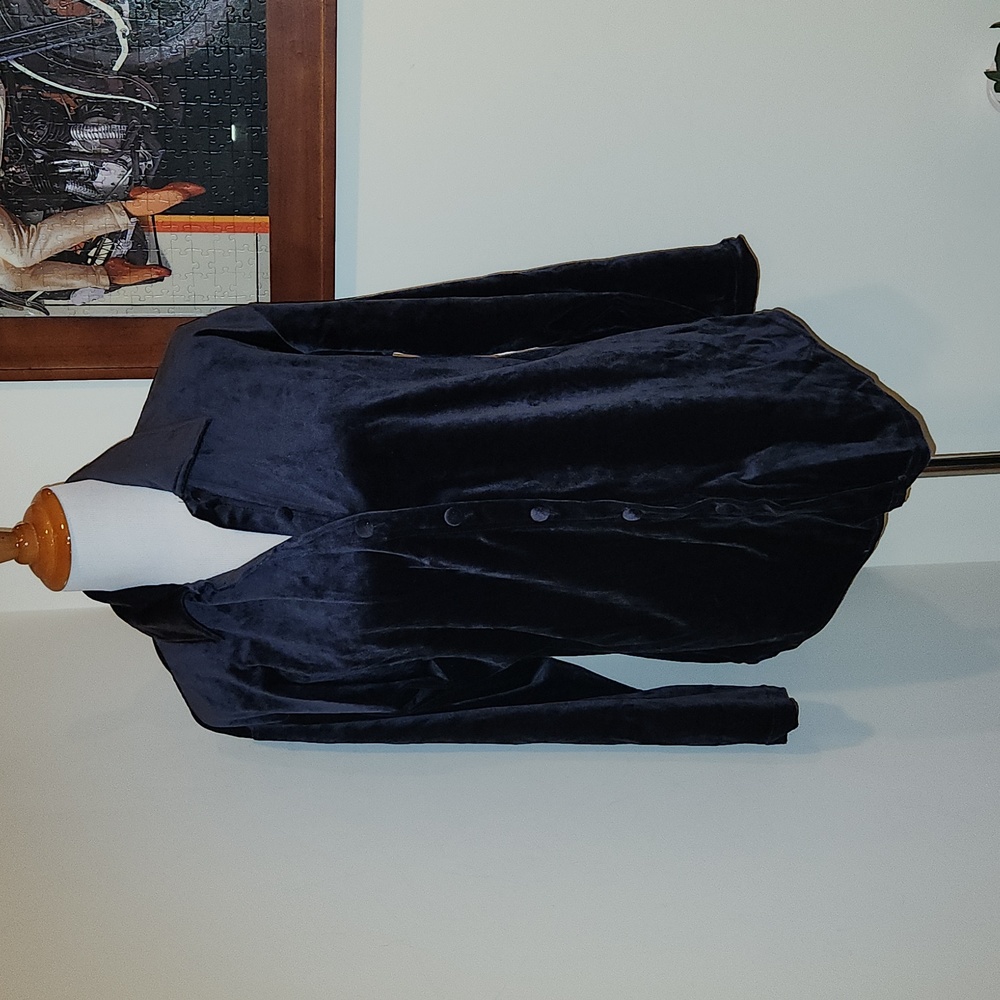 Lauren Brooke button down velour top